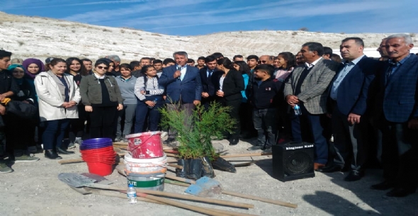 Yazıhan Belediyesinin Ağaçlandırma Çalışması - 11 Kasım 2019
